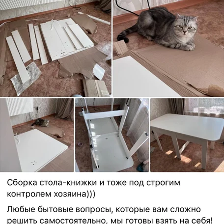 image-5-0